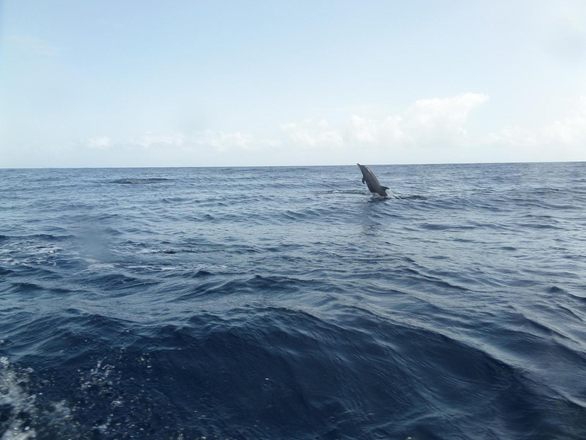 Caraibes Holidays Sainte-Anne Bagian luar foto